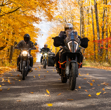 Bike Tours
